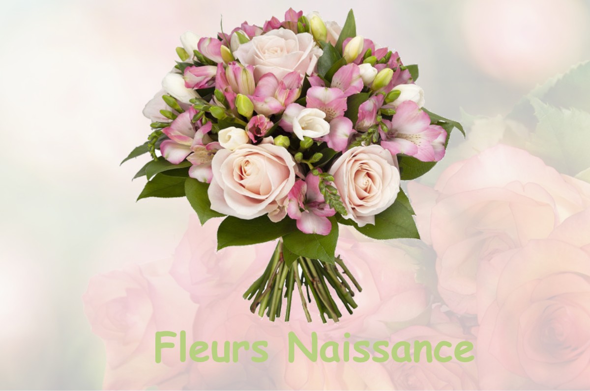 fleurs naissance BOIS-DE-LA-PIERRE