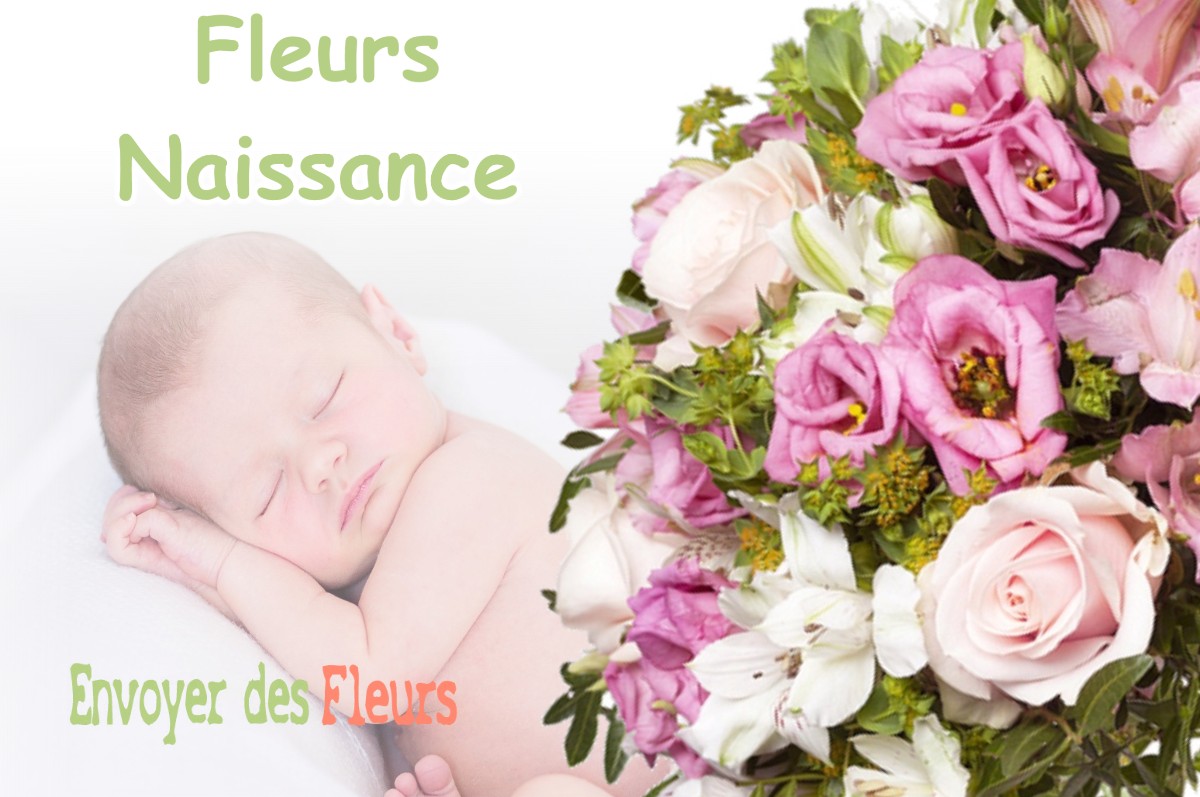 lIVRAISON FLEURS NAISSANCE à BOIS-DE-LA-PIERRE